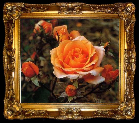 framed  unknow artist Still life floral, all kinds of reality flowers oil painting  393, ta009-2